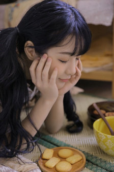 甲贺忍法贴